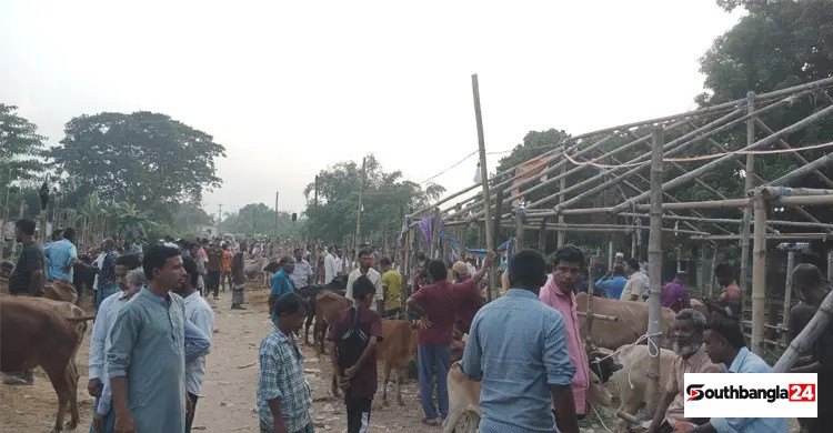 পশুর হাটে হাসিল আদায়ে ইজারাদারদের ইচ্ছাই যেন নিয়ম