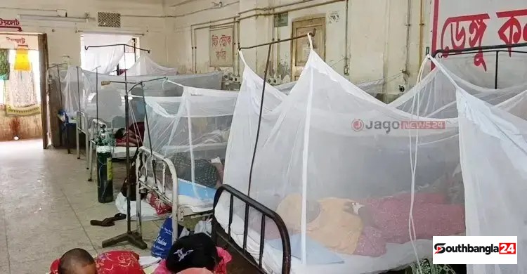 ডেঙ্গুতে আরও ৩ জনের মৃত্যু, হাসপাতালে ভর্তি ১২৬২